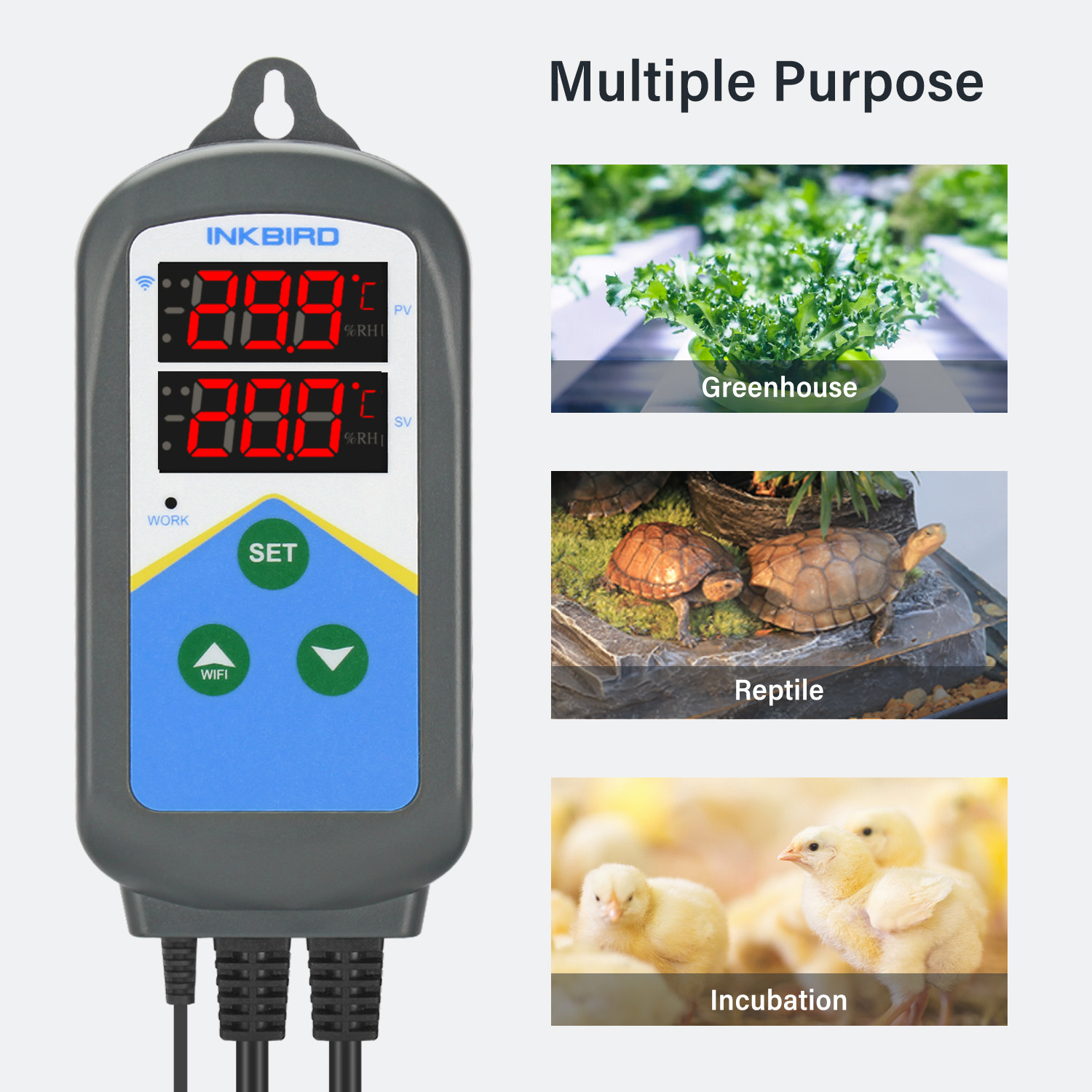 INKBIRD WIFI termoregulator IT – Wifi Thermostat recenzja i cena